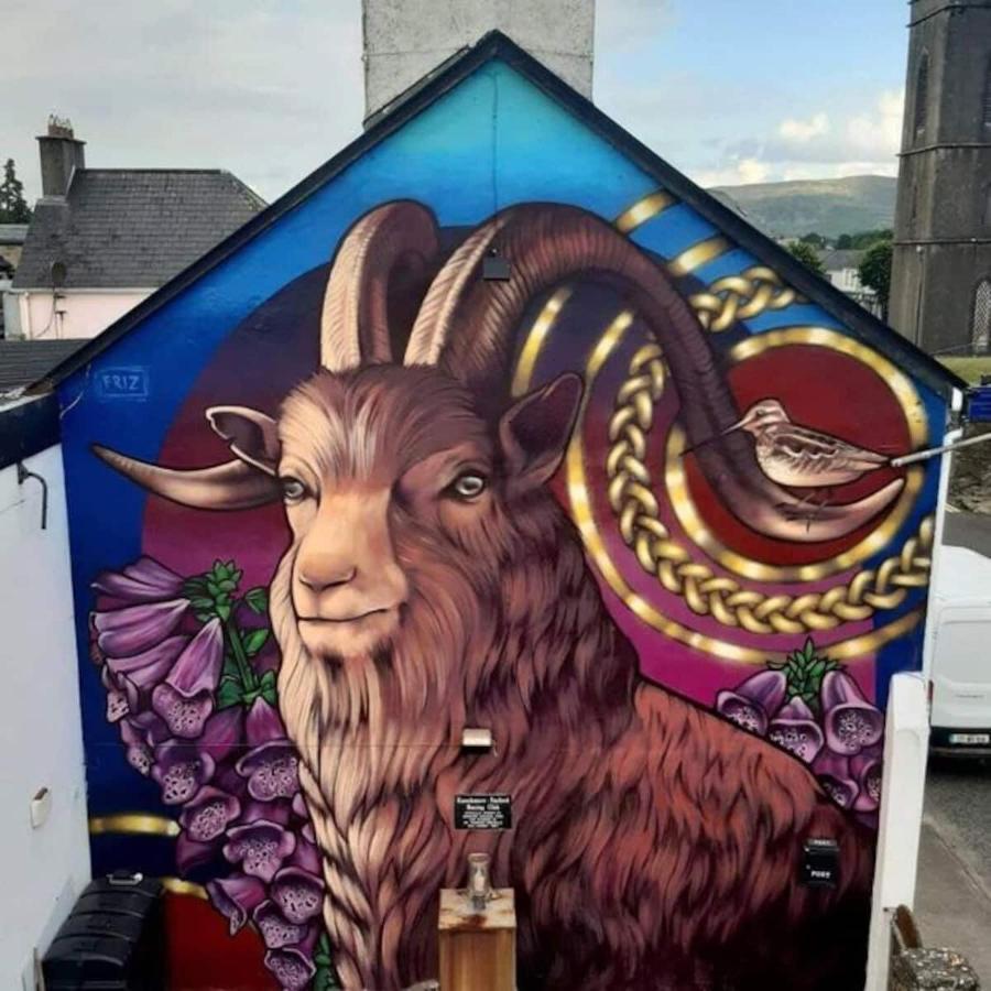'Senan' Luxury Double Room Foxford Exterior foto